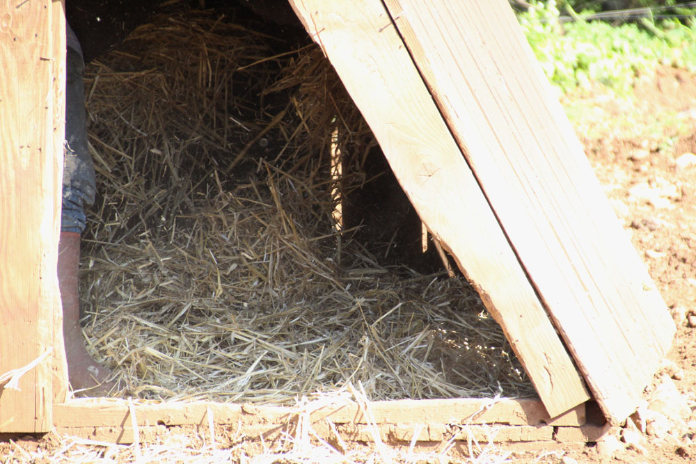 paillage cabane2