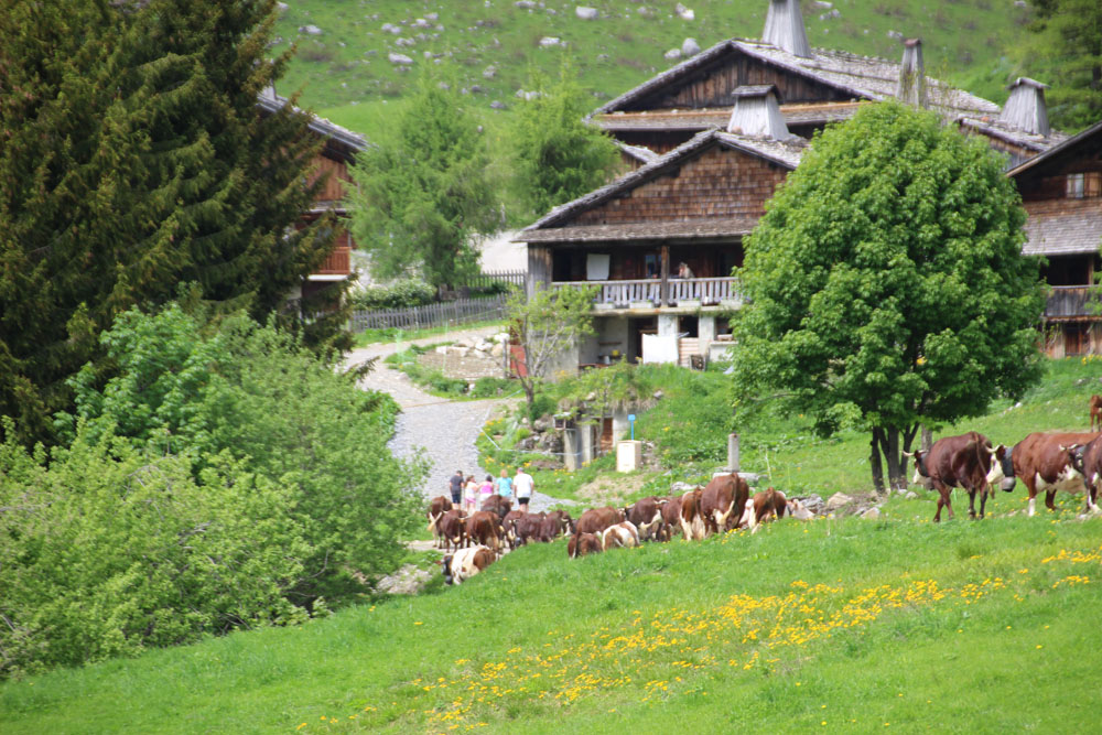 arrivee
