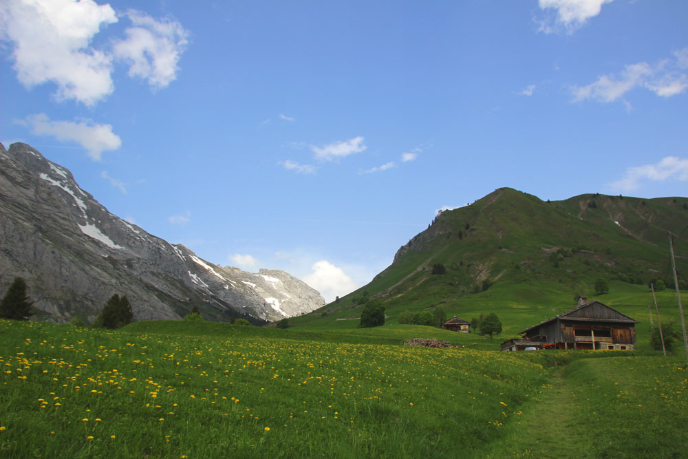 paysage