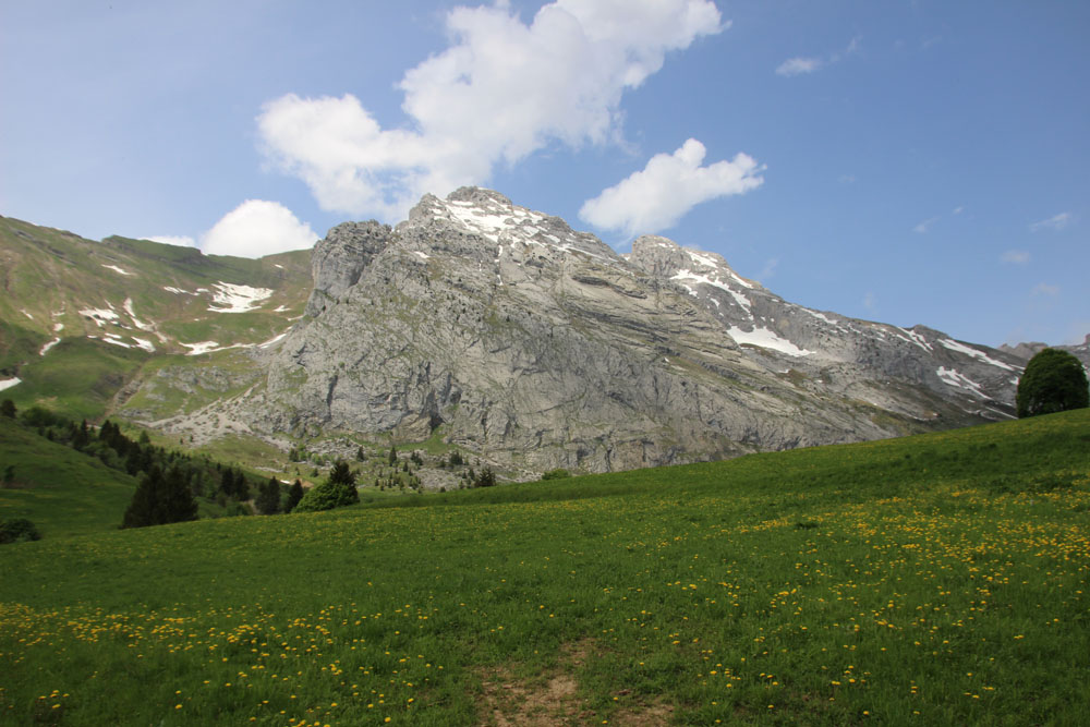 paysage2