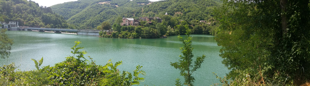 Pinet 1