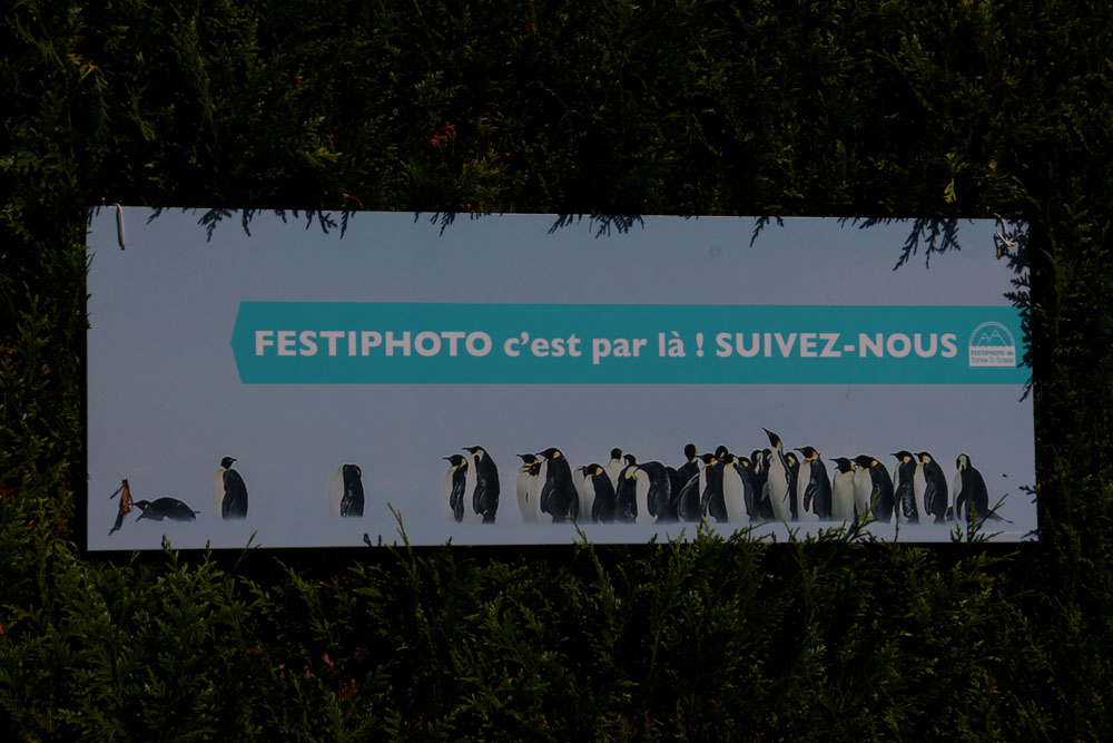 festi