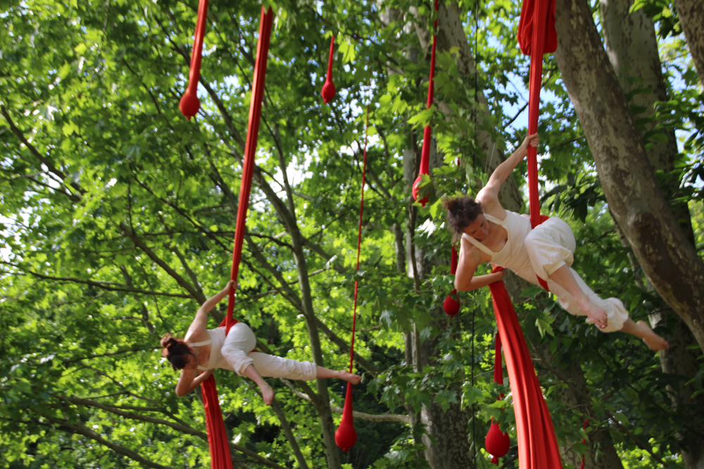 acrobatie