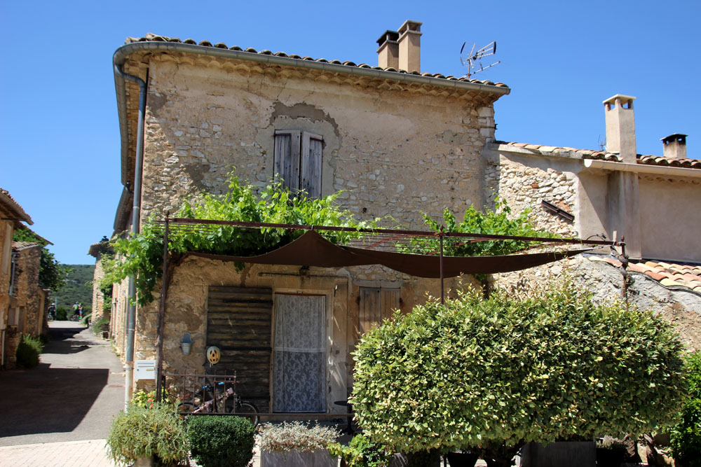 parrotier2