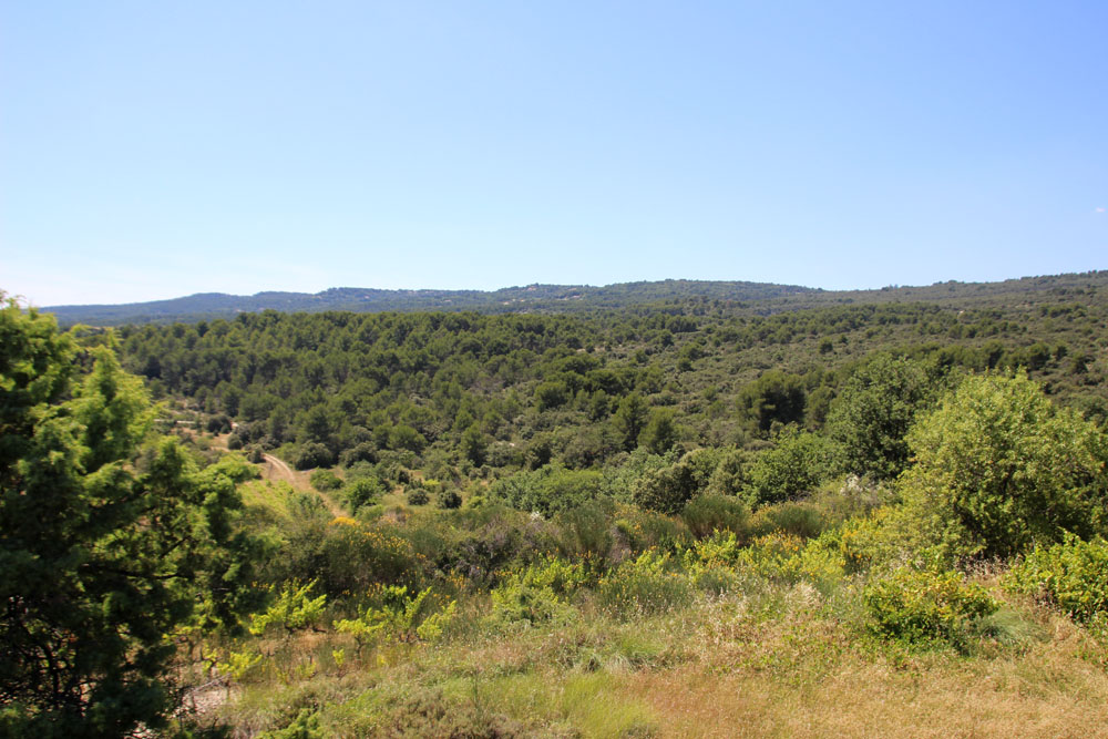 paysage