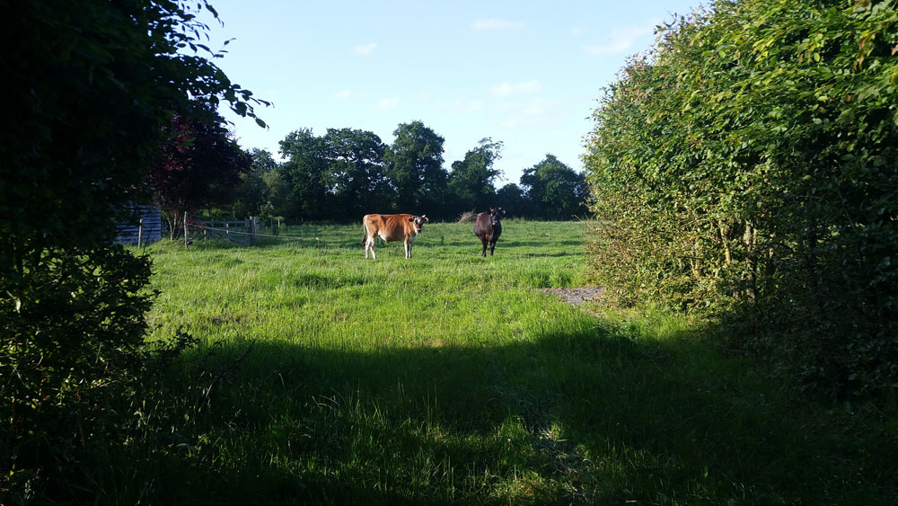 campagne