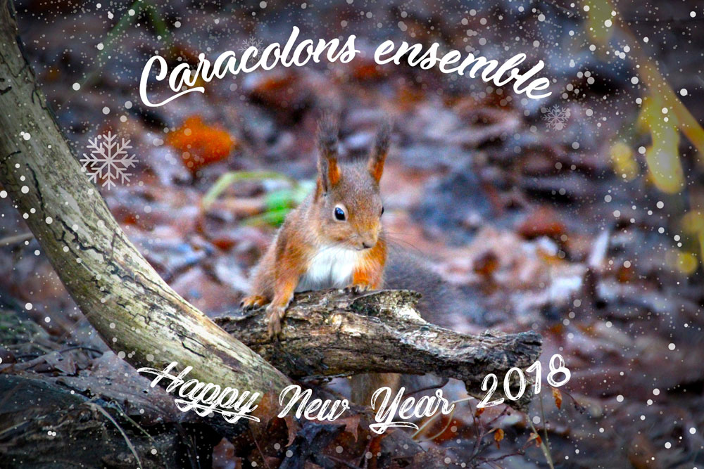 voeux caracolons ensemble bis