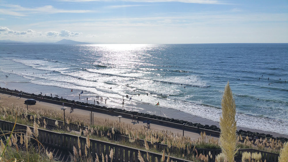 surfeur