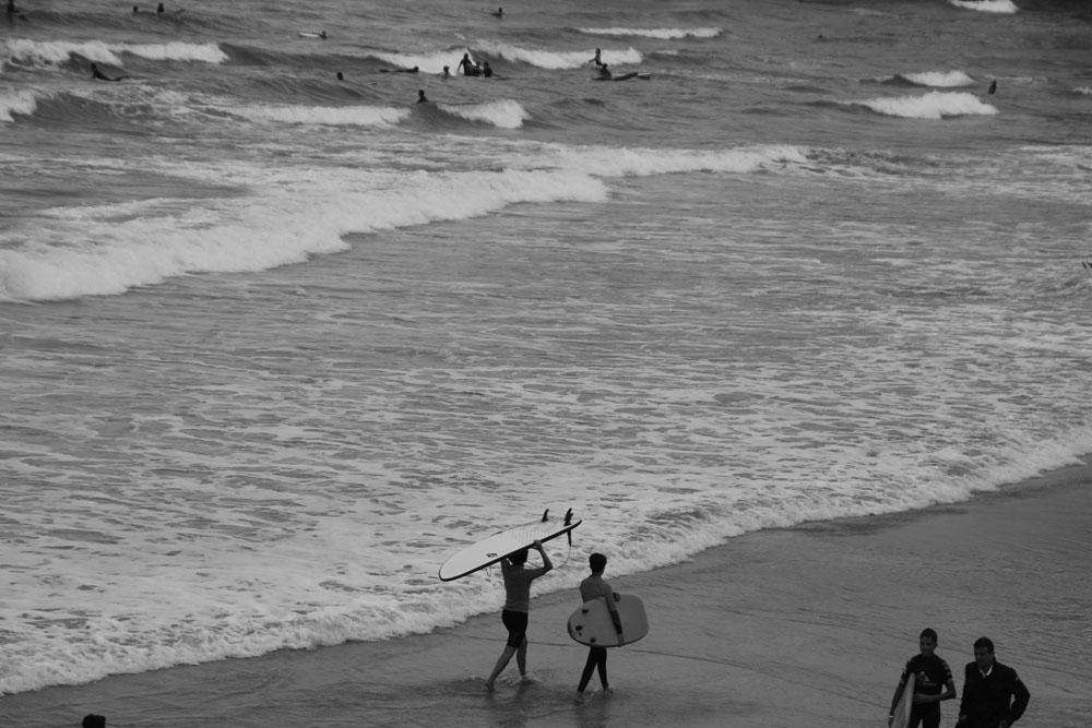 surfeur3