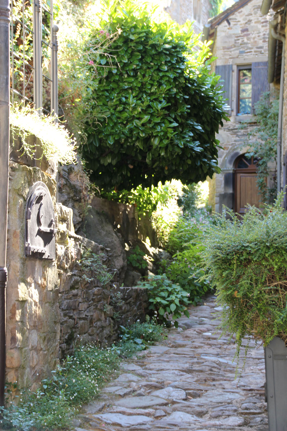 ruelle
