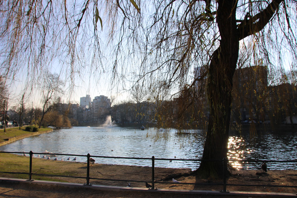 etangs ixelles