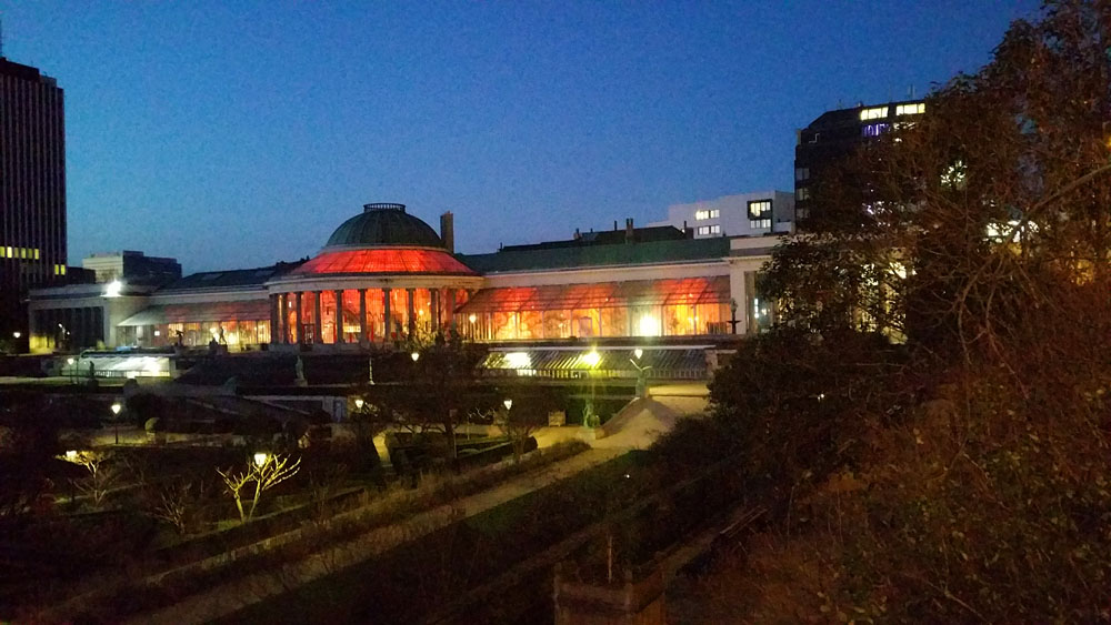 jardin botanique illumine
