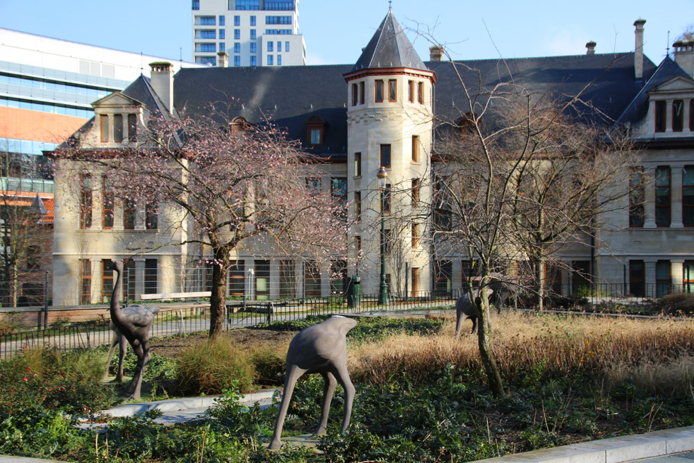 parc leopold
