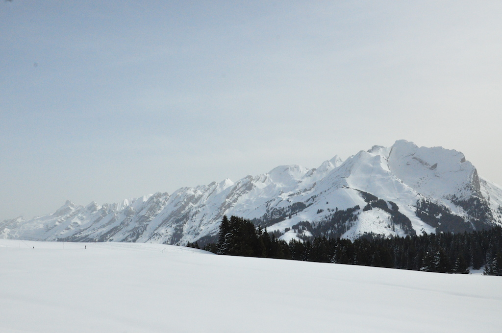 beauregard hiver