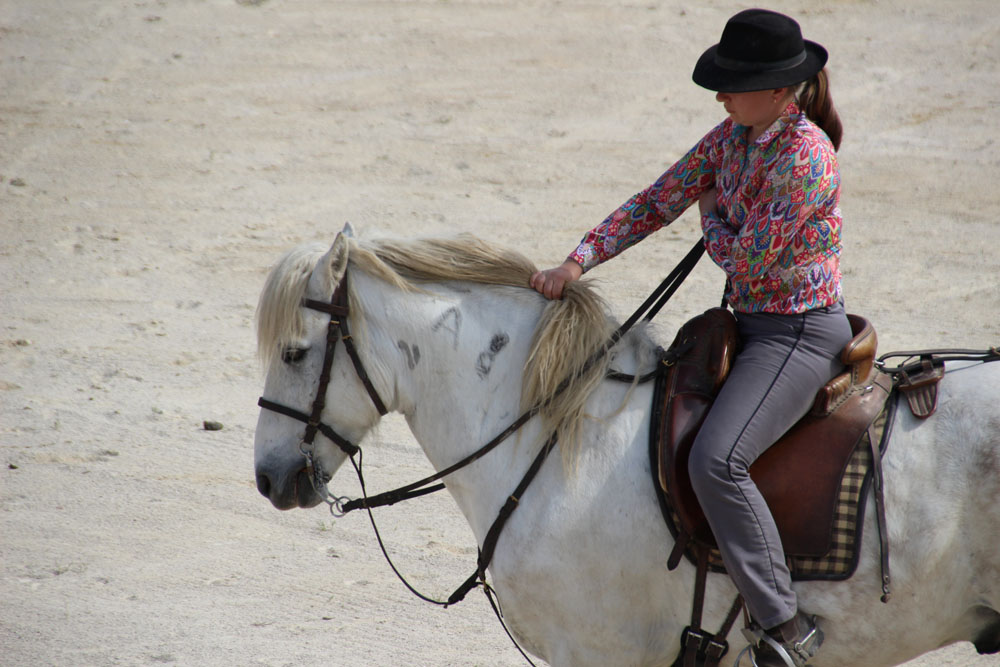 cheval