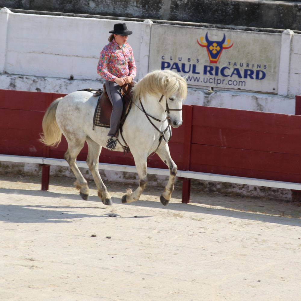 cheval2