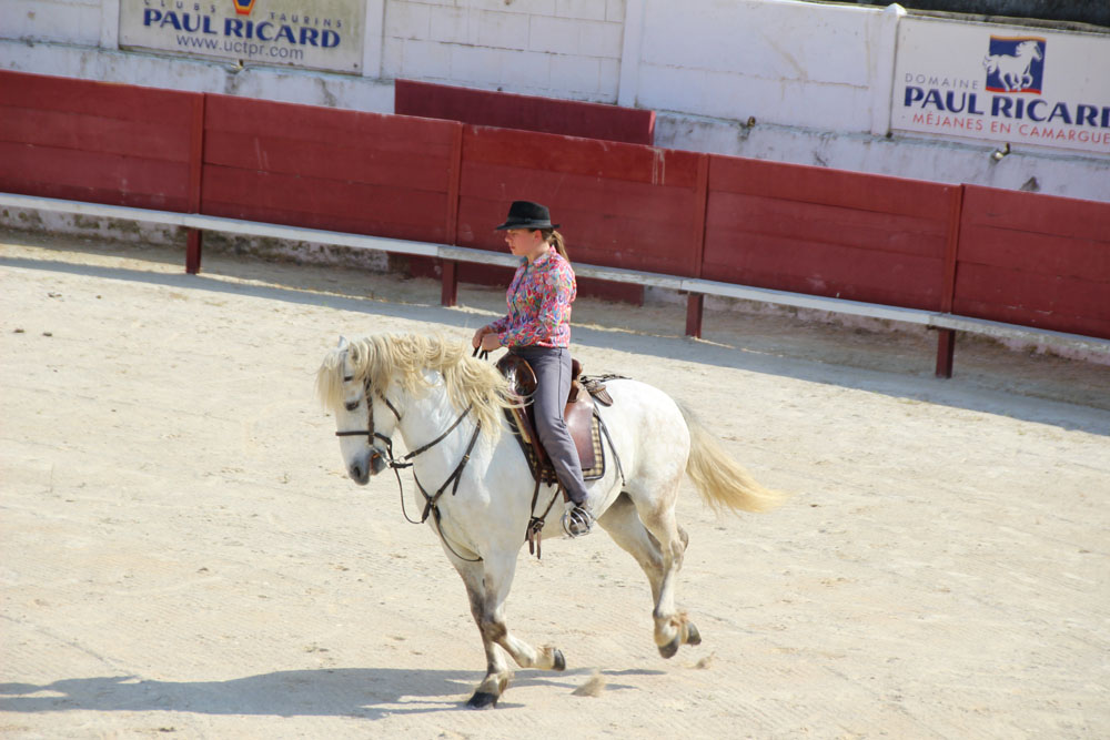 cheval3