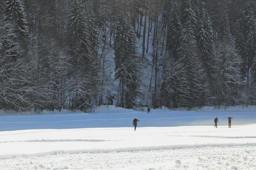 ski de fond