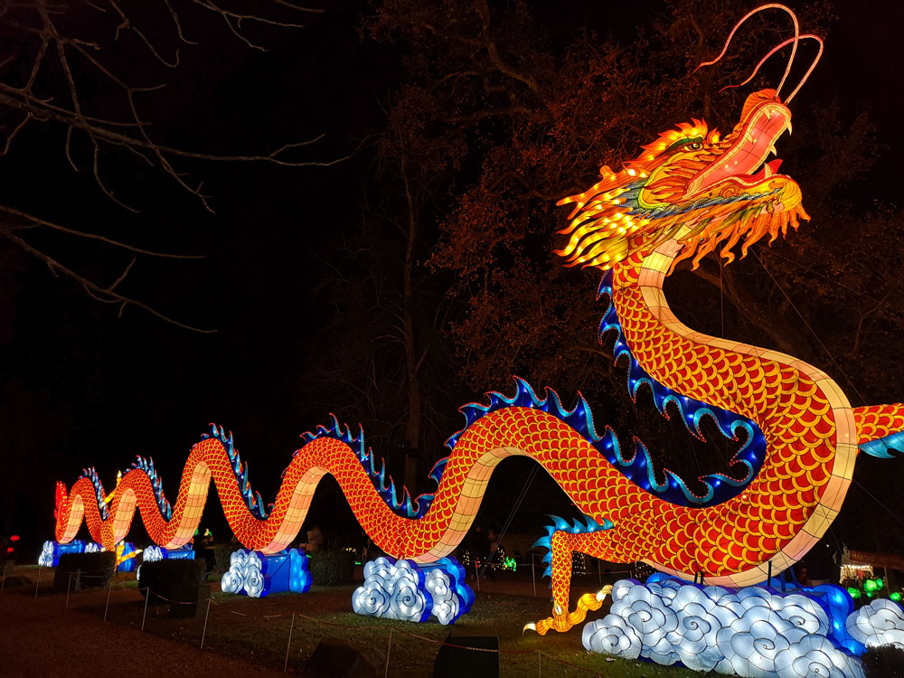 dragon