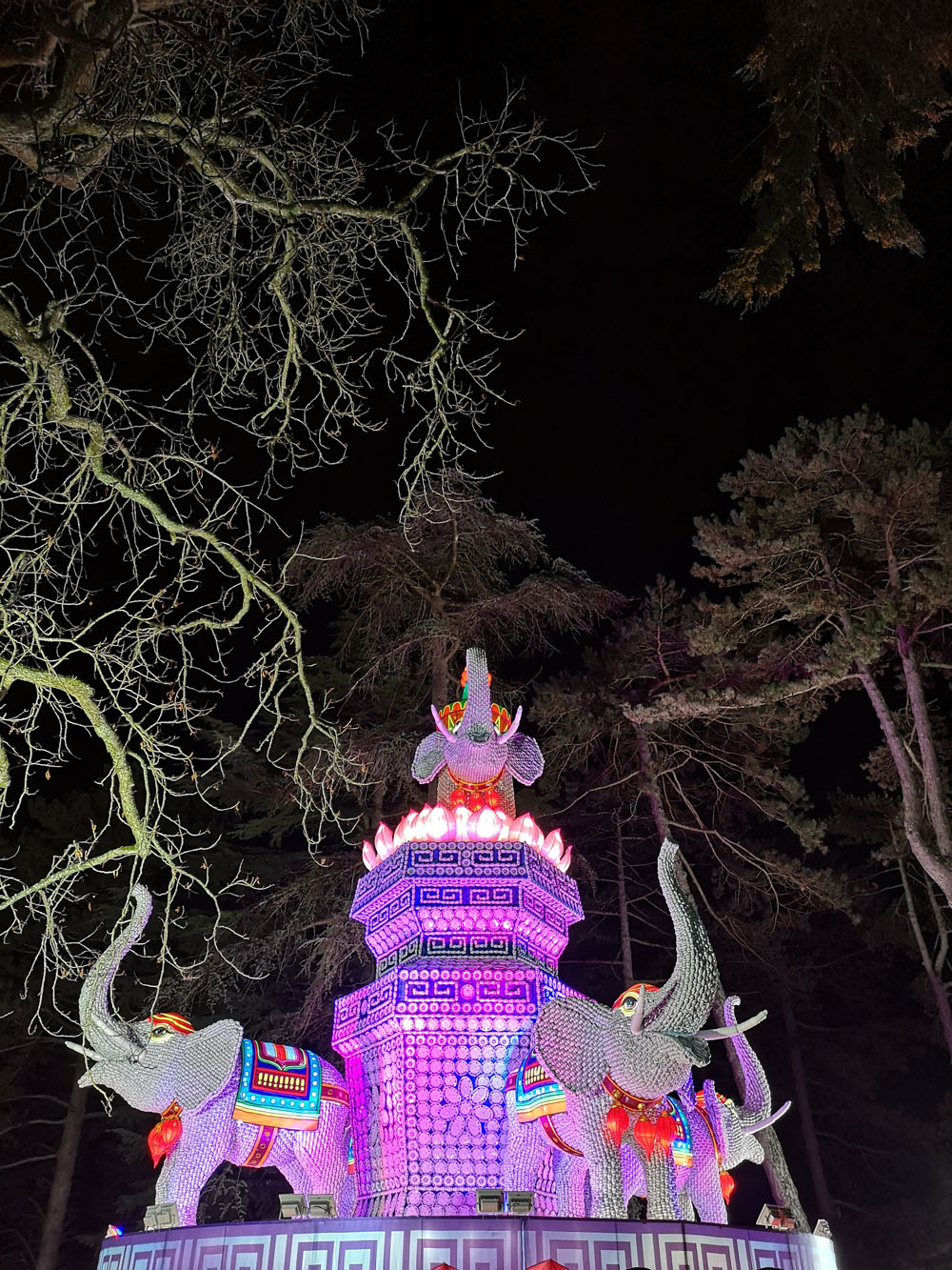 elephant
