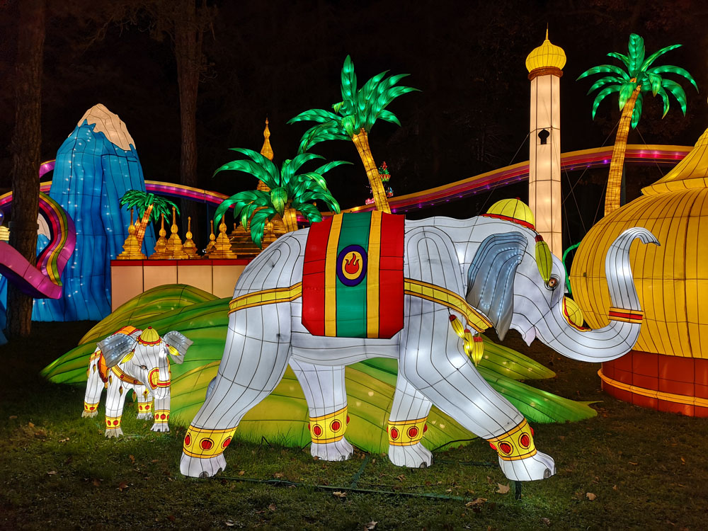 elephant2
