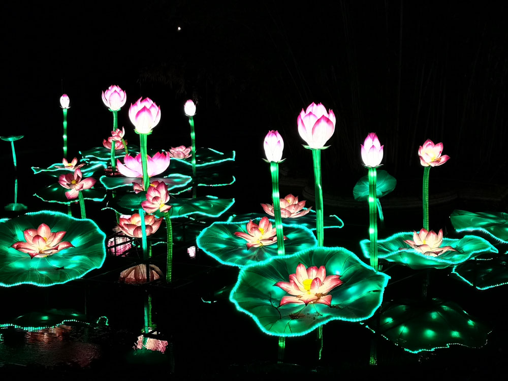 lotus