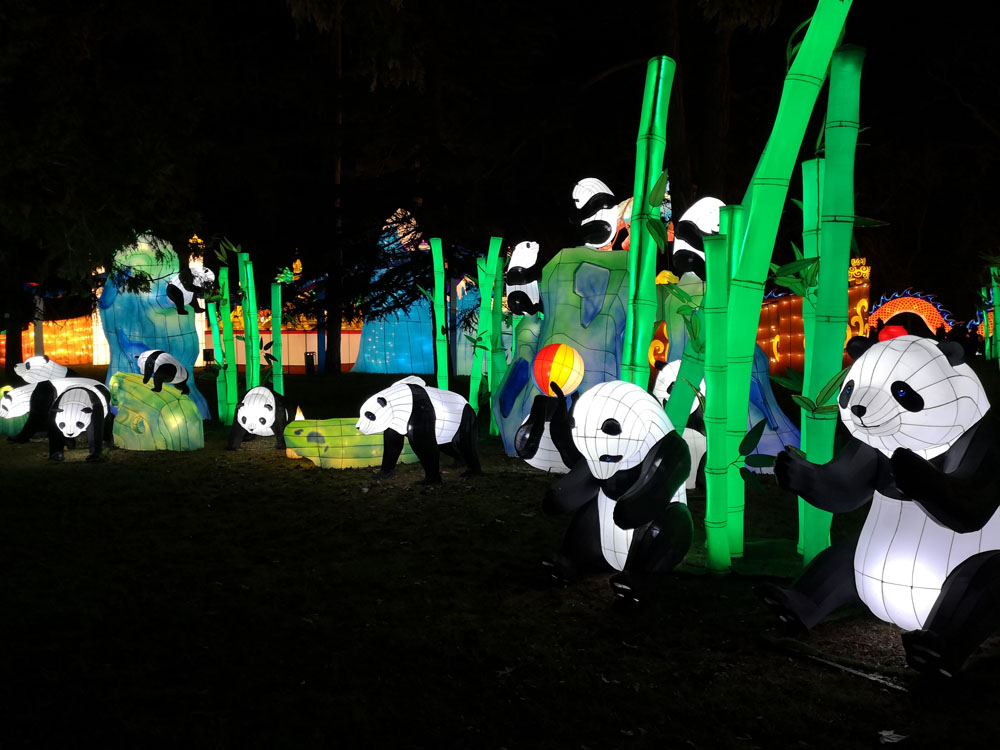 panda