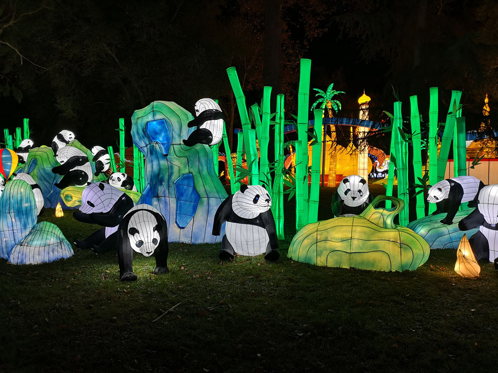 panda2