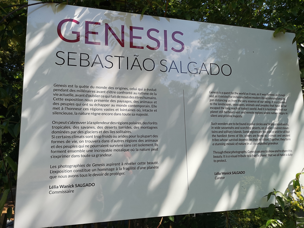 expo genesis