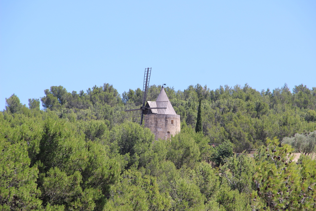 moulin daudet2