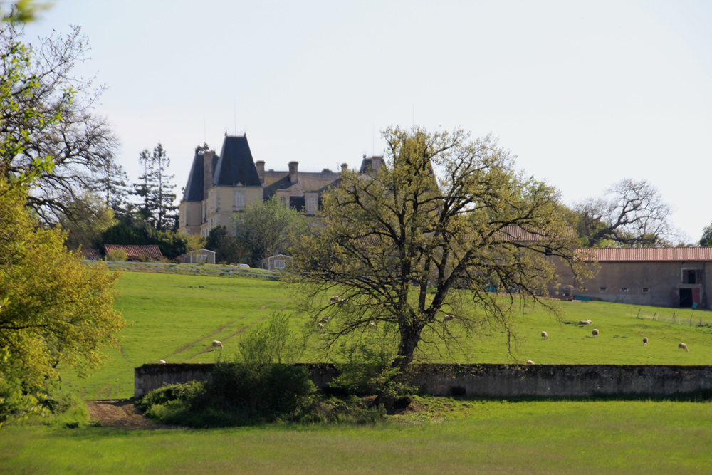 chateau brebis