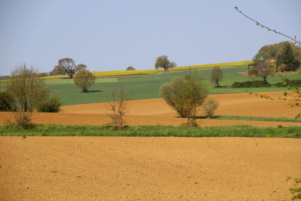 paysage gers