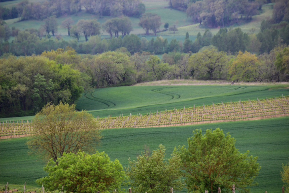 paysage gers2