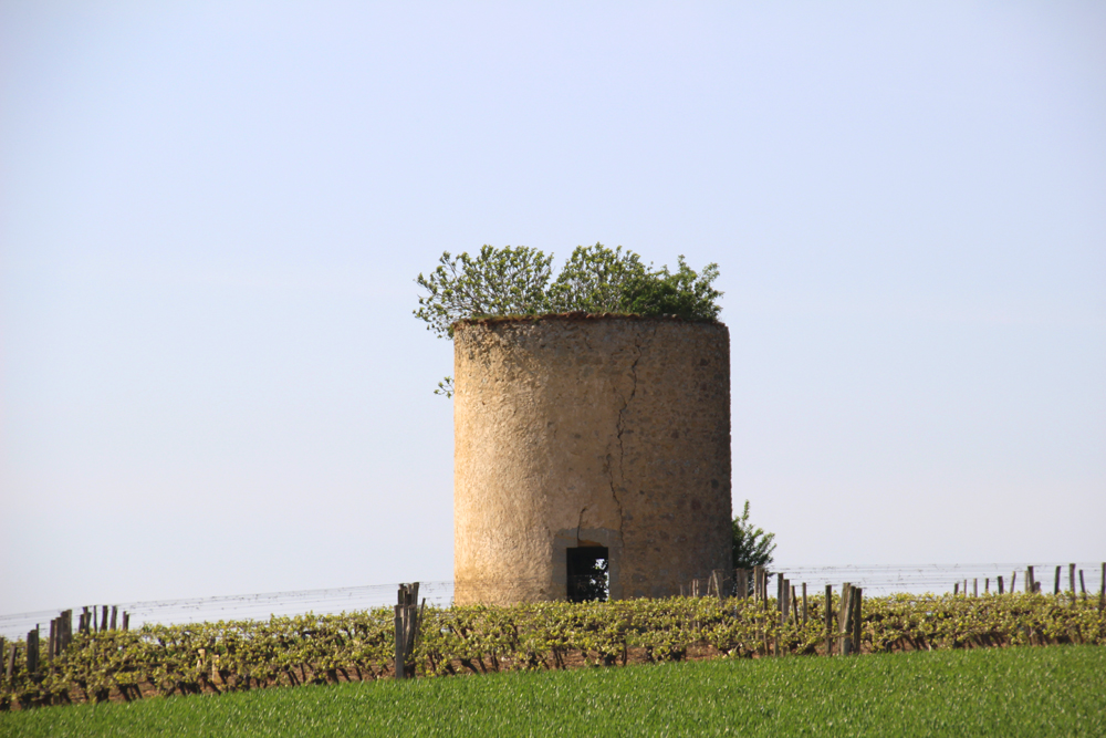 tour nature