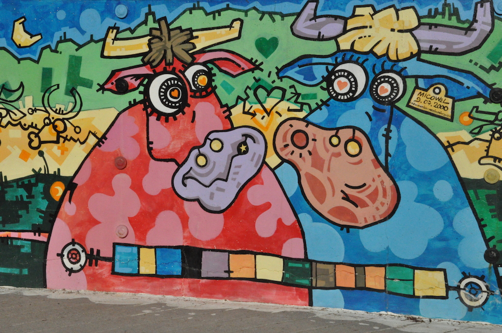 vache1