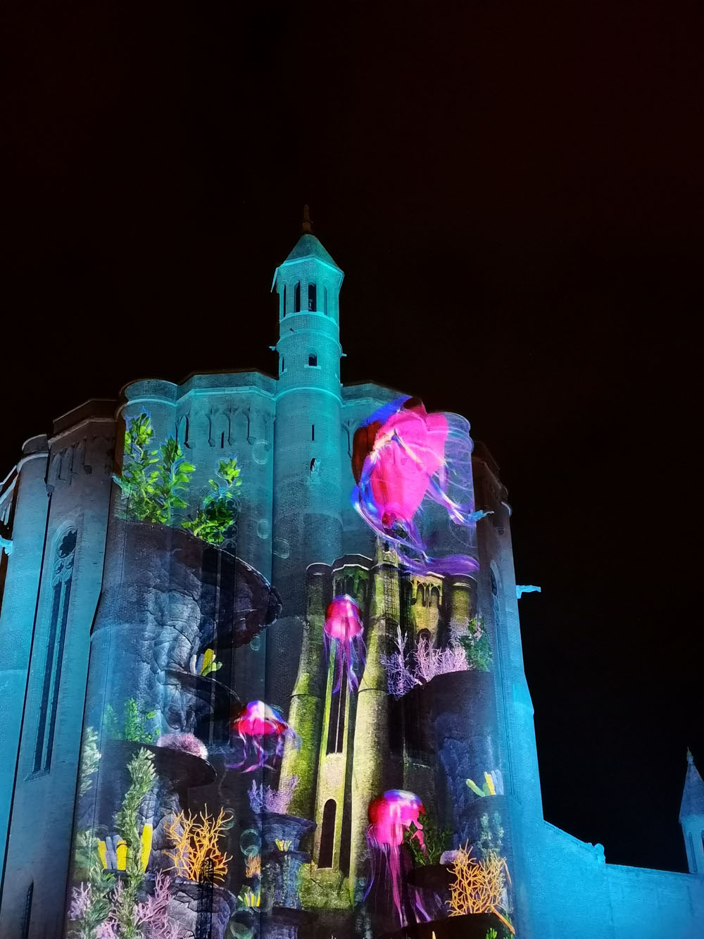 cathedrale2