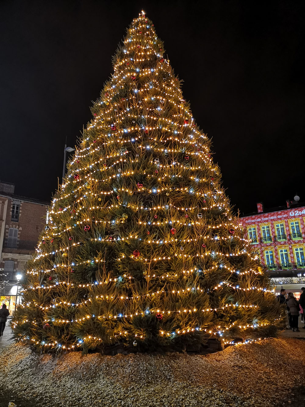 sapin