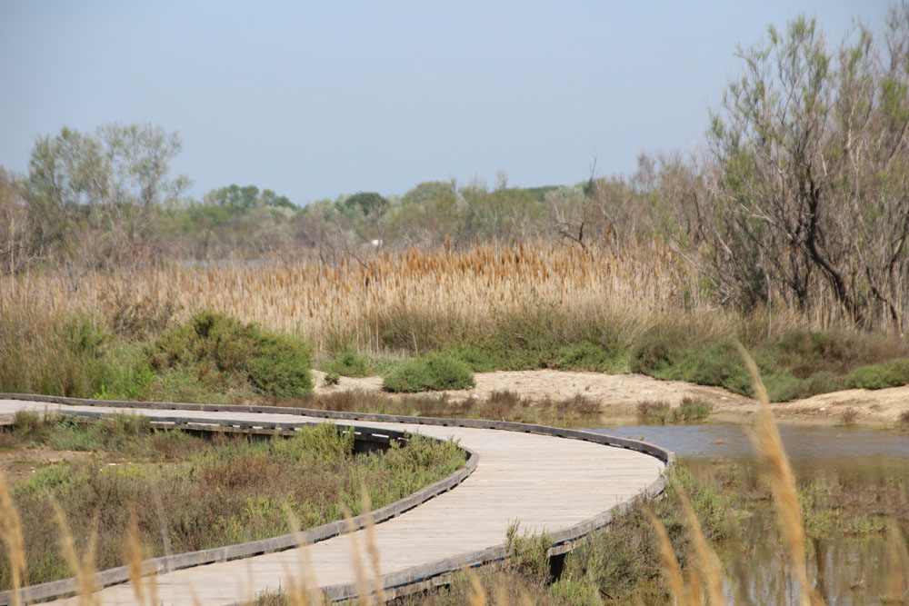 chemin