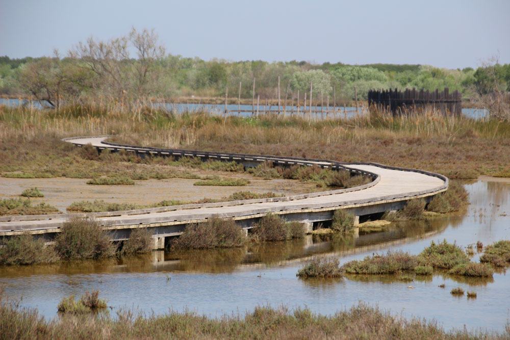 chemin2