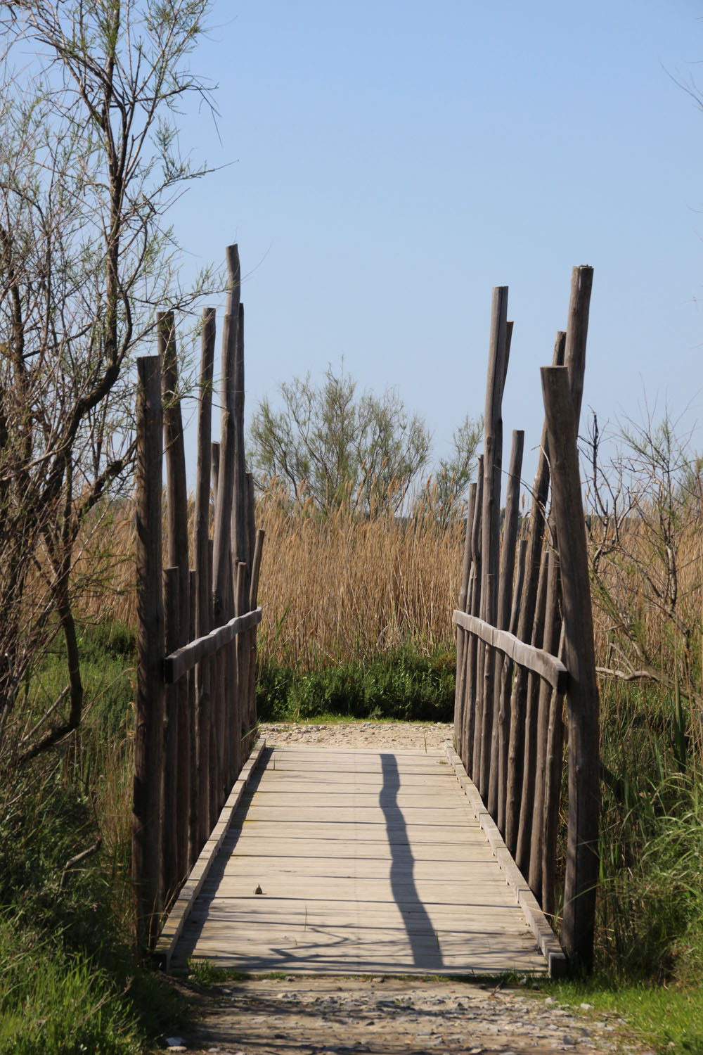 pont