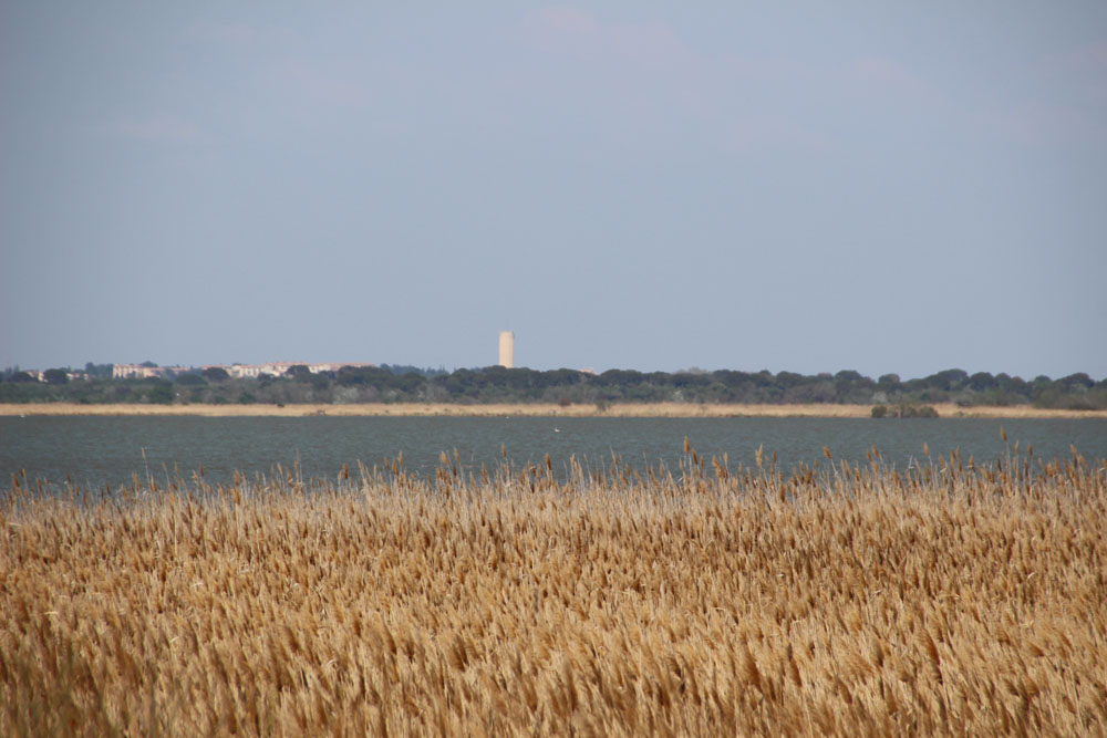 vue scamandre