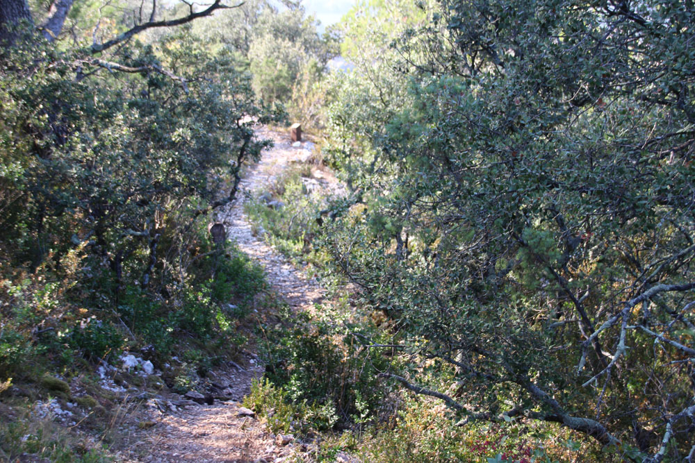 chemin