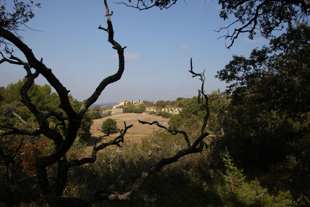 vue lagnes