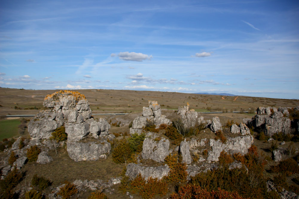 IMG 4270