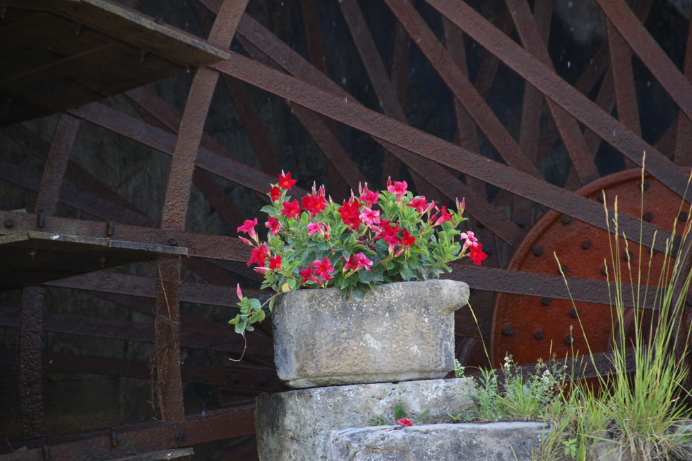 moulin6