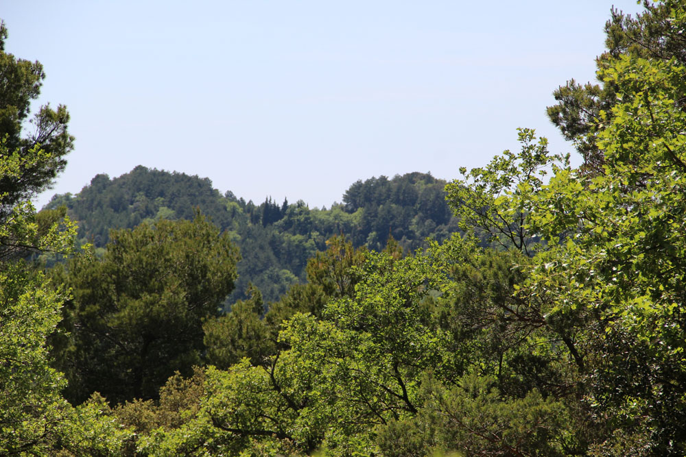 nature