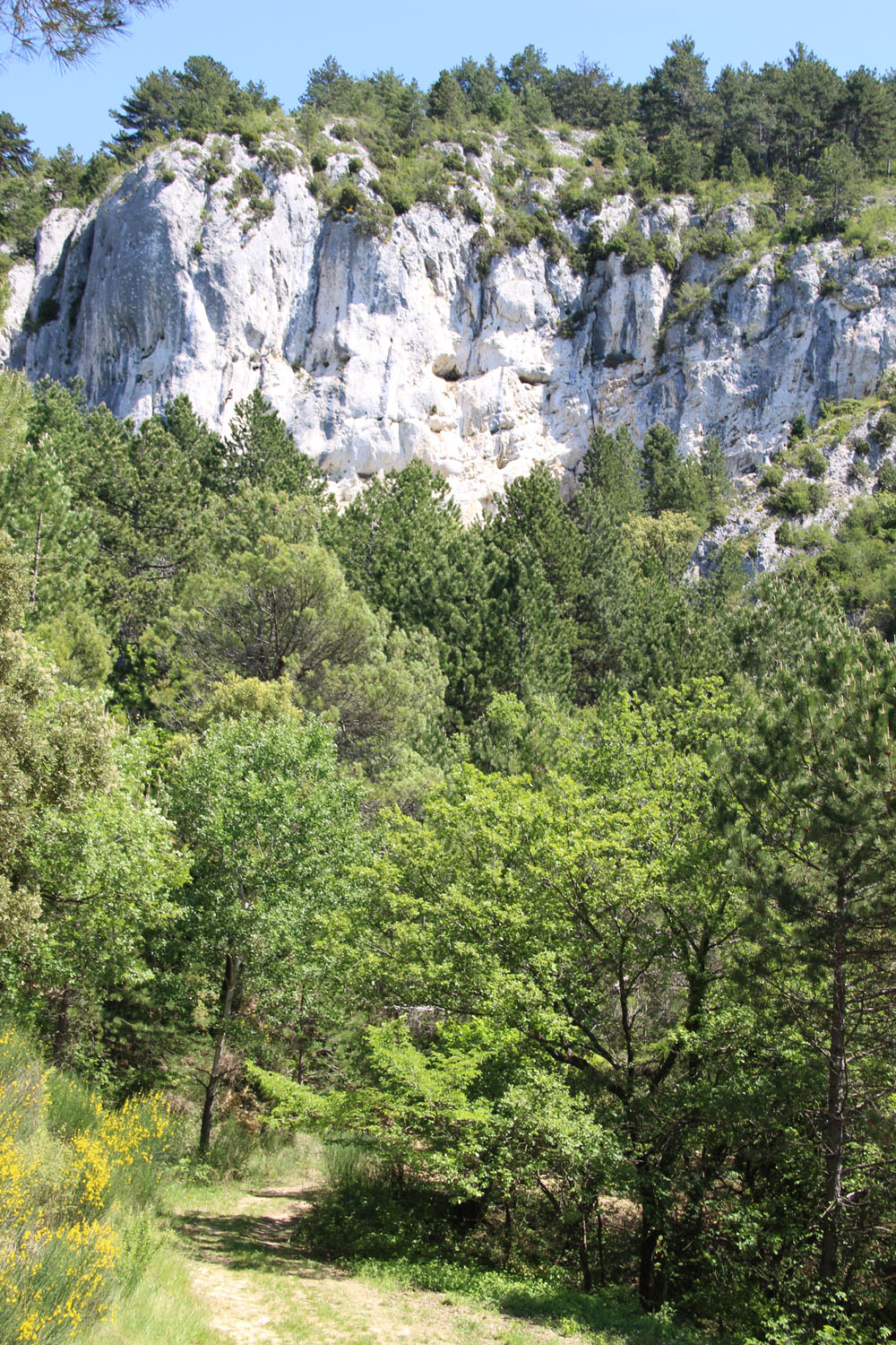 sentier