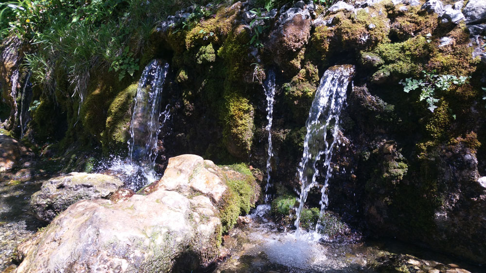 source
