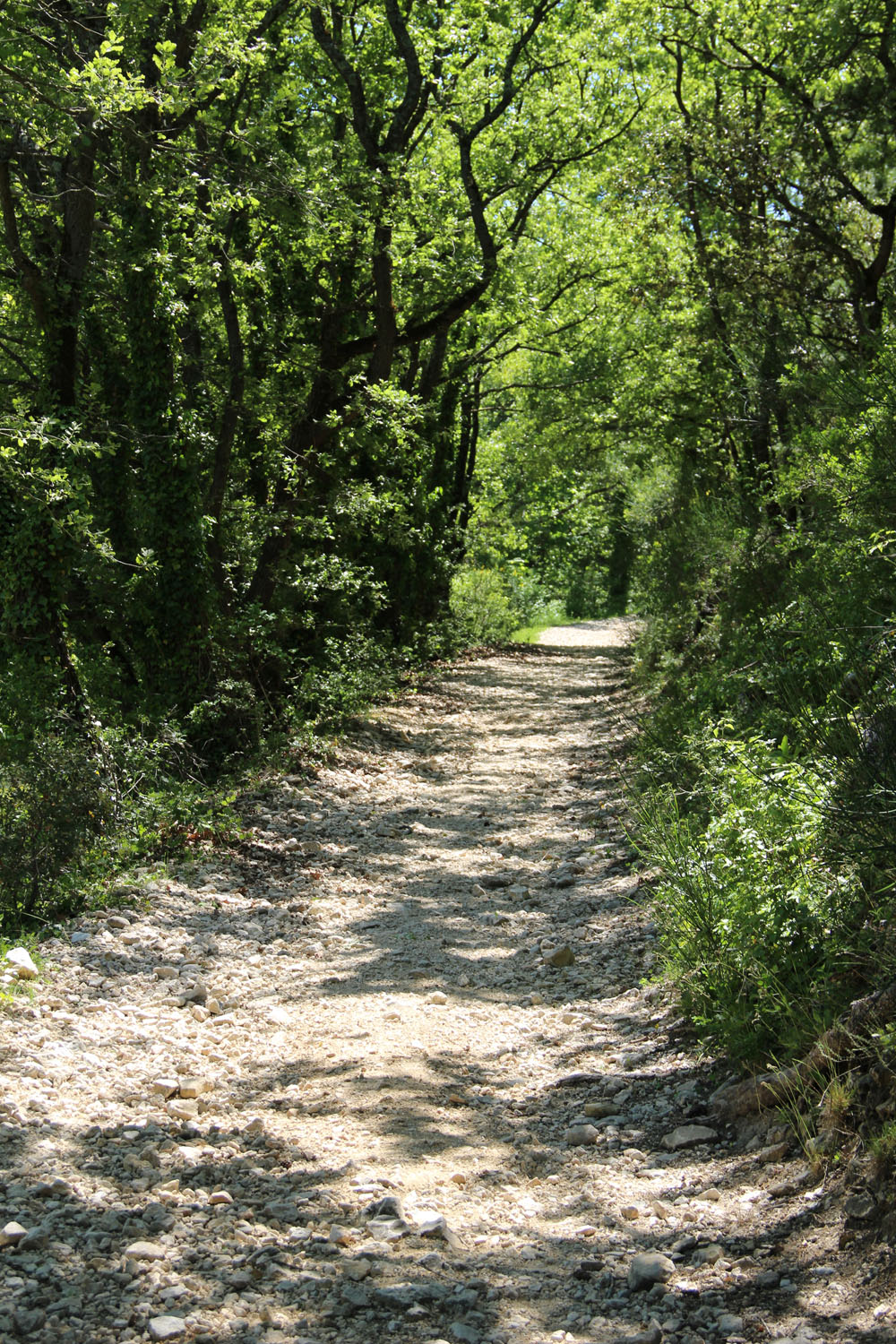 vtt