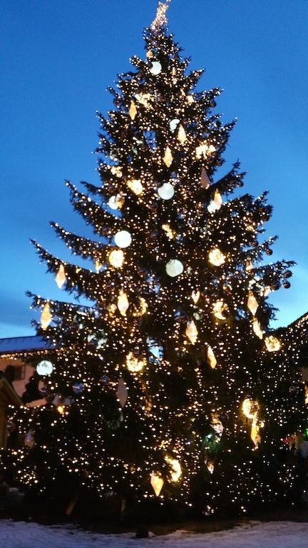 sapin